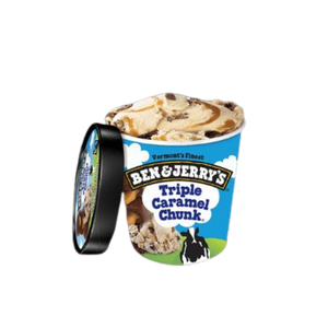 Ben and Jerry Fudge Brownie(Large)